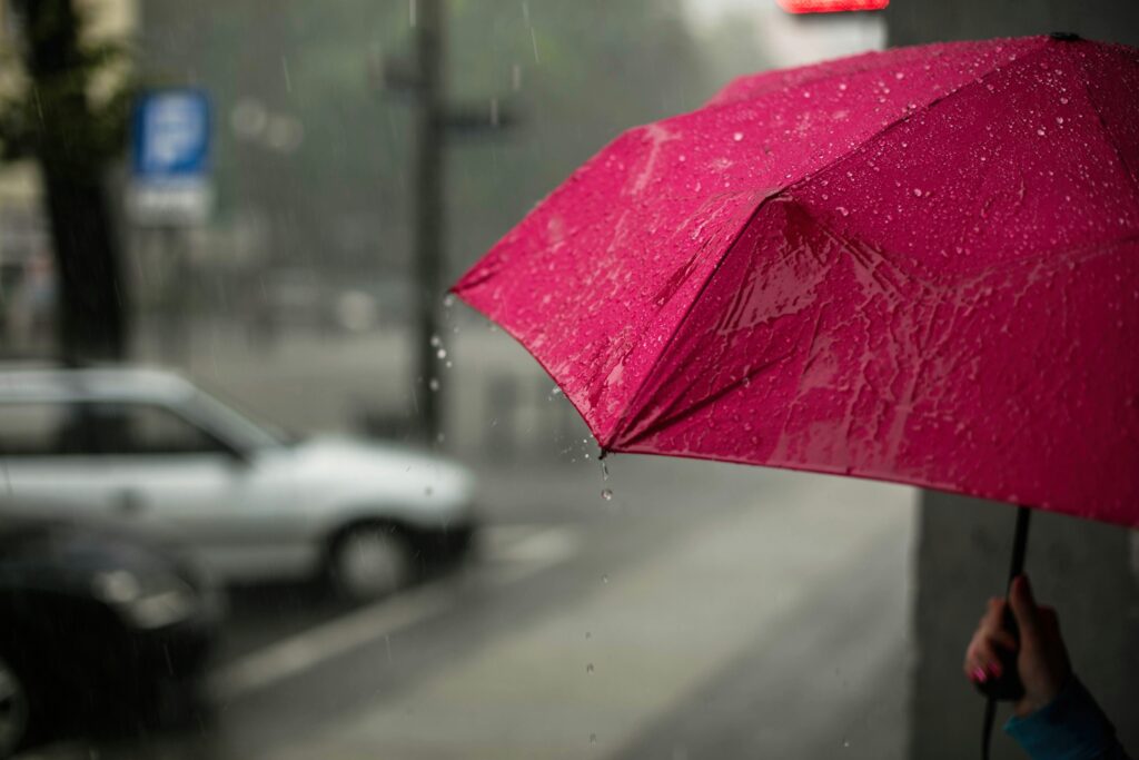 Umbrella Insurance MN